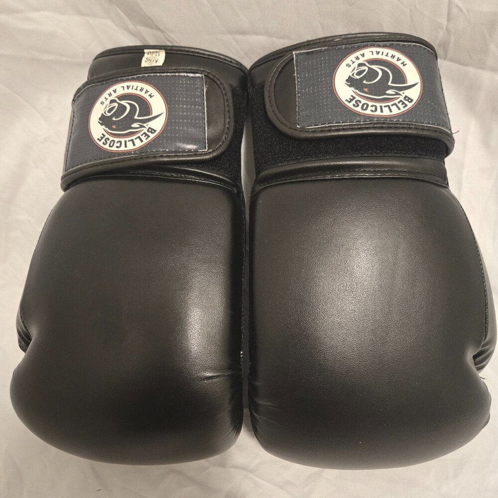 Kickboxing Gloves